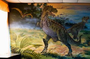 Sainshand Museum, Gobi, Frank Ward