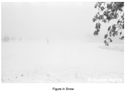 Hampshire College in winter by Elaine Mayes