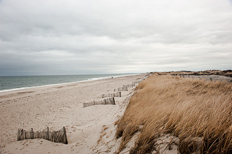 Sandy Neck Beach, 2013