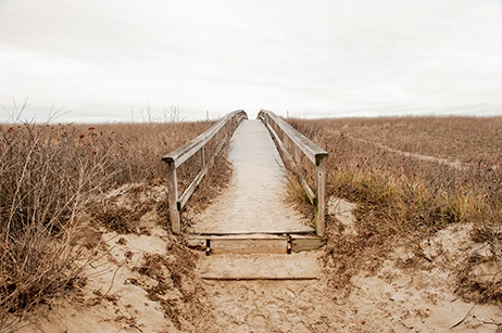 Boardwalk near Cape Cod Canal