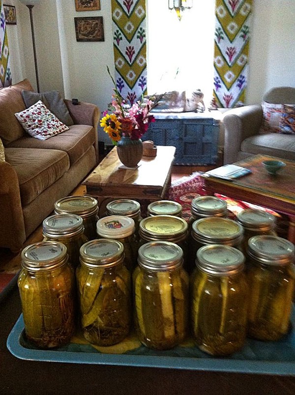 Pickles on the woodstove